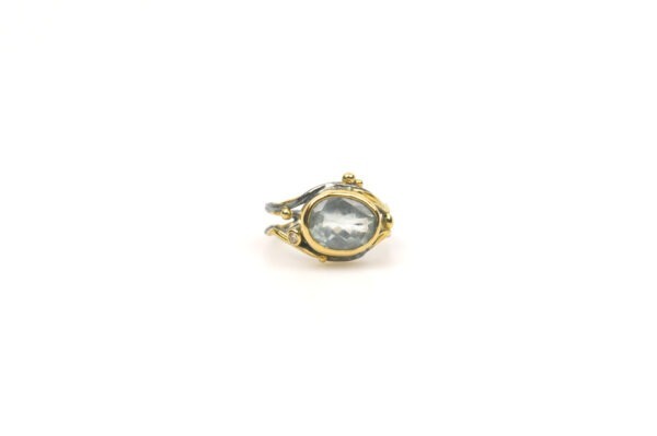 Double Seafire ring met een ovale aquamarijn en champagne kleur diamant 0.04ct